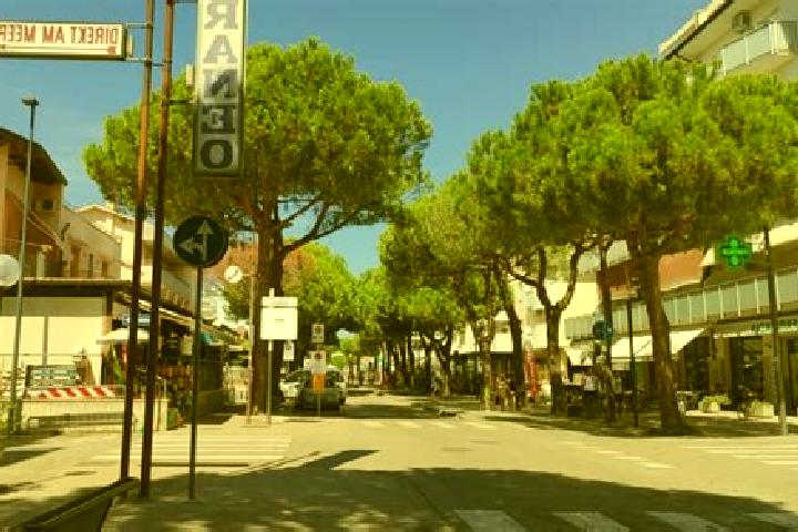Layla, 33, a chestnut grey-eyed mediterranean companion based in Lido di Savio. Offering Domination, Travel Companion, Couples, Prostate Massage. Available f...