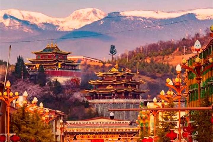Layla, 33 — Escort in Shangli, China