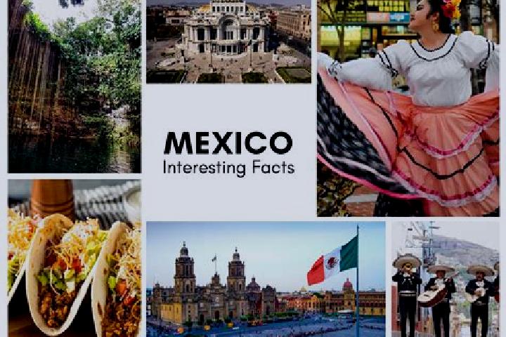 Layla, 33 — Escort in Tlanipatla, Mexico