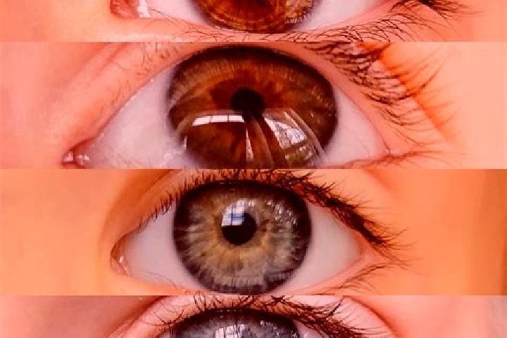 Layla, 34, a chestnut hazel-eyed indian companion based in Polla. Offering Massage, Prostate Massage, GFE. Available for incall and outcall, day and evening ...