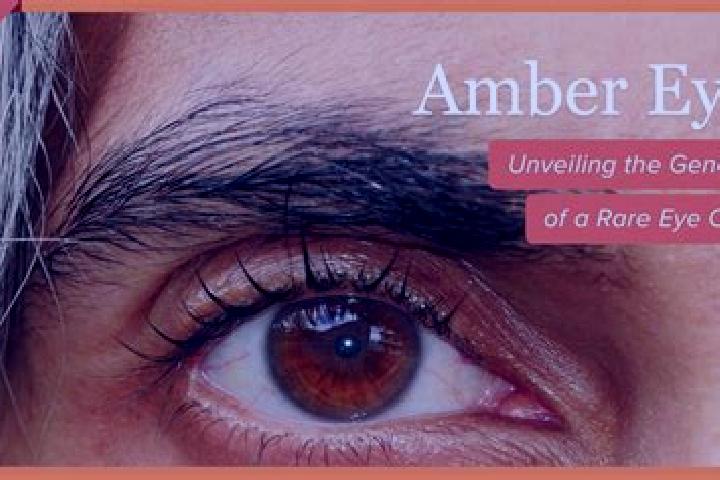 Layla, 34, a red amber-eyed mediterranean companion based in Bechet. Offering Massage, Dinner Date, GFE. Available for incall and outcall, overnight bookings...