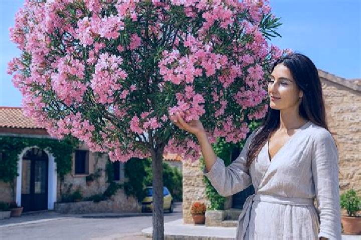 Layla, 34 — Escort in Adelfas, Spain
