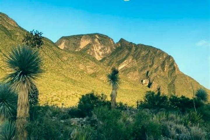Layla, 35 — Escort in La Flor de Jimulco, Mexico