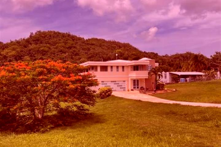 Layla, 35 — Escort in Manati, Puerto Rico