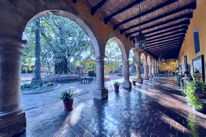 Layla, 35 — Escort in Tlachichuca, Mexico