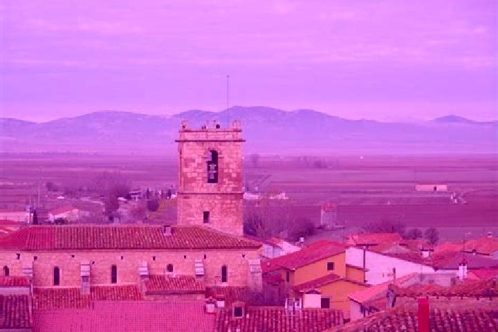 Layla, 35 — Escort in Torralba de los Sisones, Spain