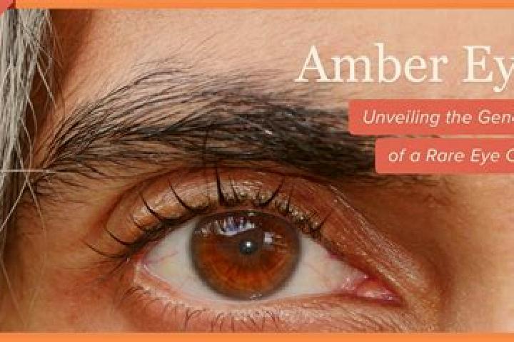 Layla, 36, a black amber-eyed mixed companion based in Natoye. Offering Prostate Massage, Couples, A-Level, Girlfriend Experience. Available for incall and o...
