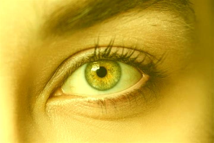 Layla, 36, a chestnut hazel-eyed mixed companion based in Schnelsen. Offering Fetish, CIM, BDSM. Available for incall and outcall, day and evening dates.