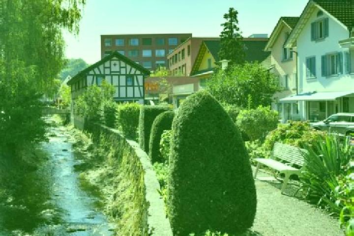 Layla, 36 — Escort in Affoltern / Goldiger Berg, Switzerland