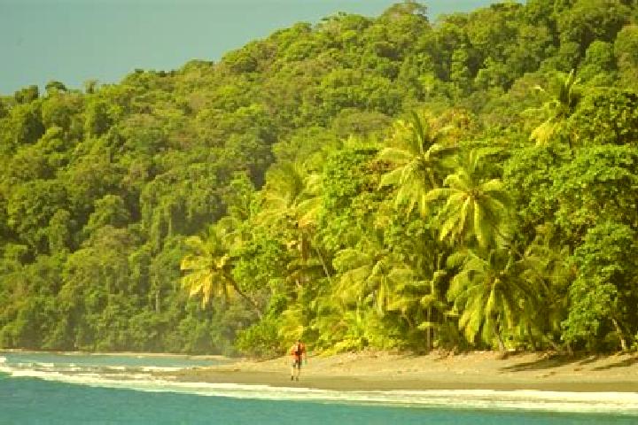 Layla, 36 — Escort in El Corcovado, Mexico