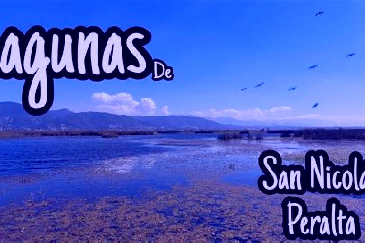 Layla, 36 — Escort in San Nicolas Peralta, Mexico