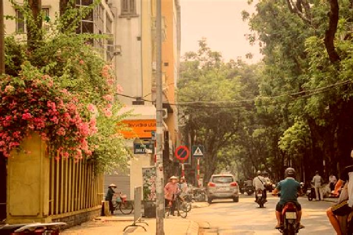 Layla, 37 — Escort in A Roang Hai, Vietnam