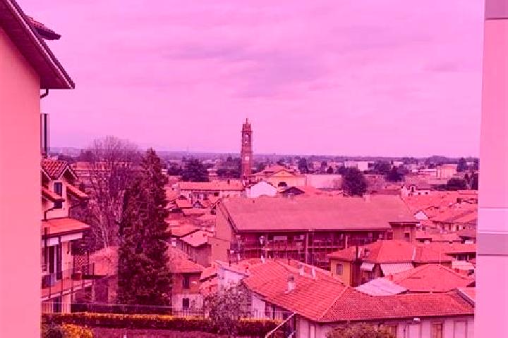 Layla, 37 — Escort in Cassano Magnago, Italy