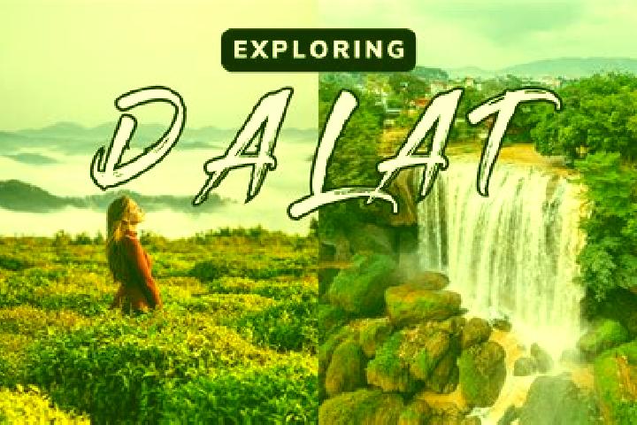Layla, 37 — Escort in Dalat, Malaysia