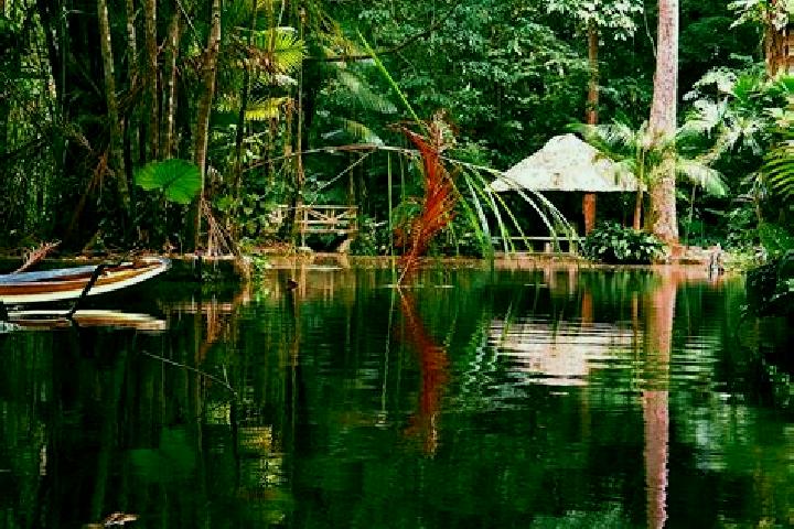 Layla, 37 — Escort in Lago dos Rodrigues, Brazil