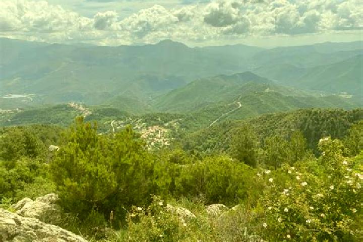 Layla, 37 — Escort in Poggio-di-Venaco, France