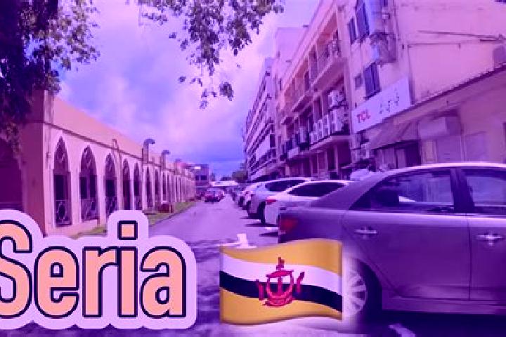 Layla, 37 — Escort in Seria, Brunei