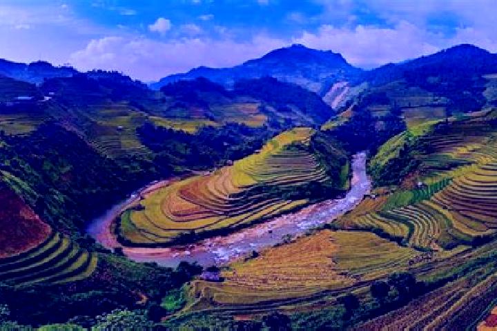 Layla, 37 — Escort in Yen Bai, Vietnam