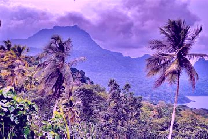 Layla, 38, a auburn brown-eyed mediterranean companion based in Sao Tome. Offering Fetish, Duos, Domination. Available for incall and outcall, overnight book...