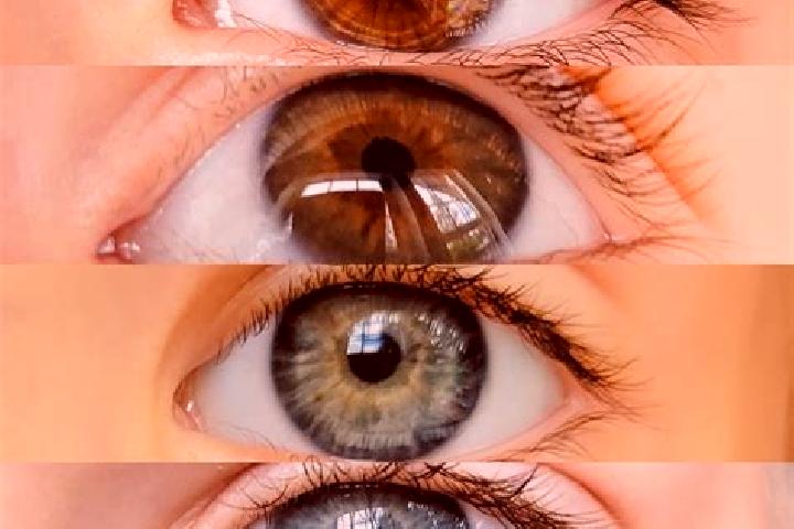 Layla, 38, a chestnut hazel-eyed caucasian companion based in Iorcani. Offering Massage, Erotic Massage, Domination, Duos, Couples. Available for incall and ...