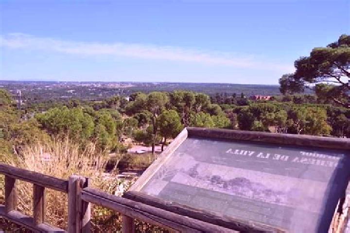 Layla, 38 — Escort in Martin Munoz de la Dehesa, Spain