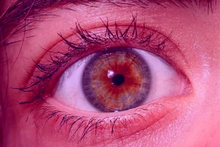 Layla, 39, a red hazel-eyed middle eastern companion based in Mala Hlusha. Offering Tantra, Striptease, Prostate Massage. Available for incall and outcall, d...