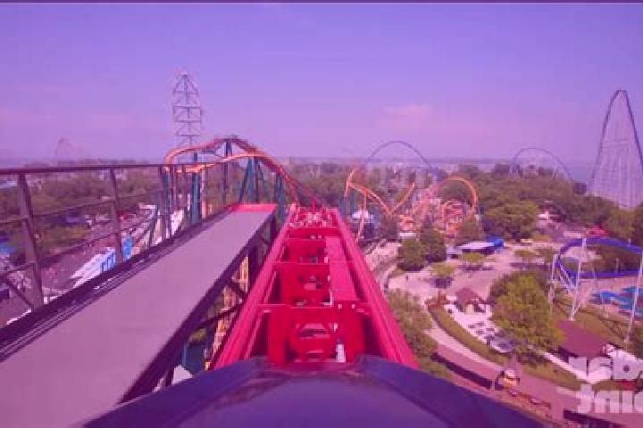 Layla, 39 — Escort in Cedar Point, United States