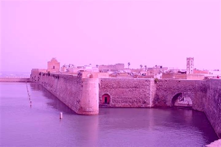 Layla, 39 — Escort in El Jadida, Morocco