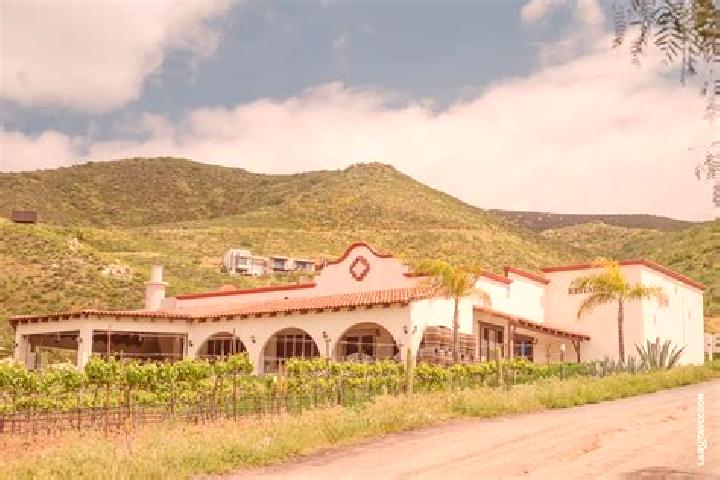 Layla, 39 — Escort in Hacienda Guadalupe, Mexico