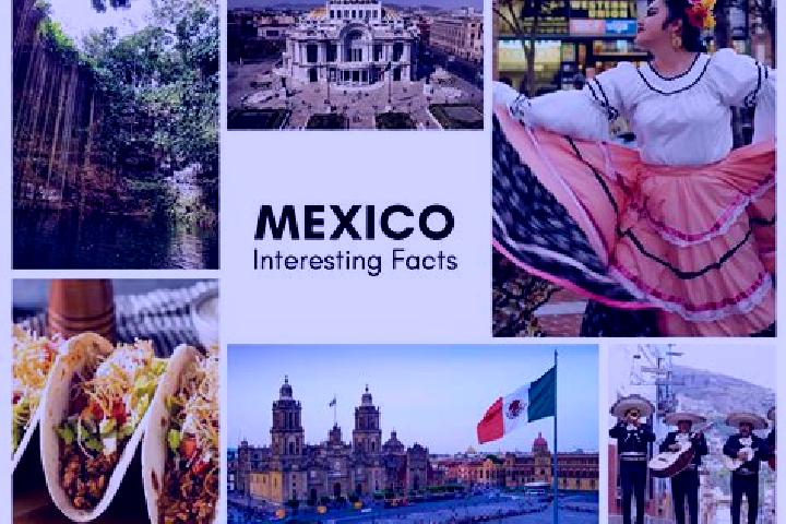 Lillian, 20 — Escort in Apanguito, Mexico