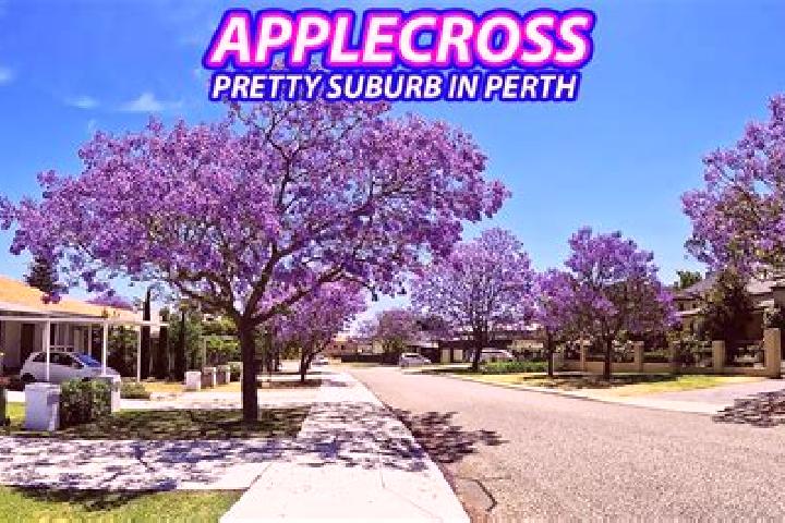 Lillian, 20 — Escort in Applecross, Australia