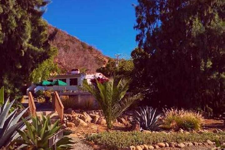 Lillian, 20 — Escort in El Sauzal de Rodriguez, Mexico