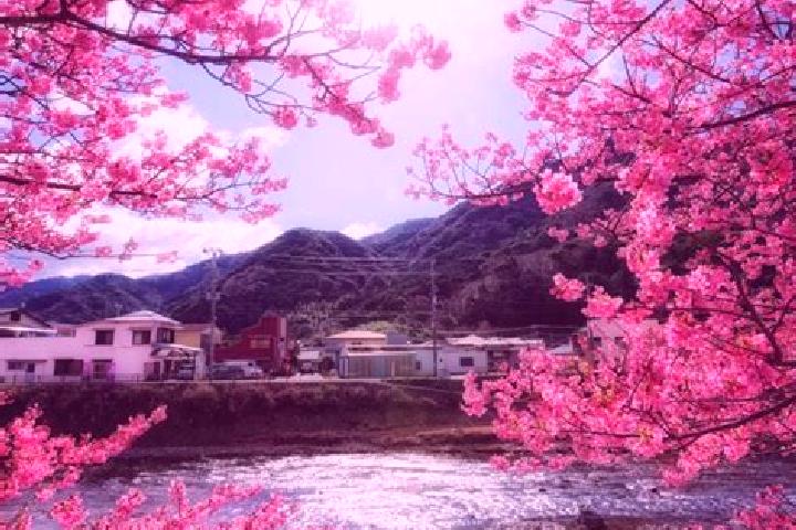 Lillian, 20 — Escort in Kawazu-ikadaba, Japan