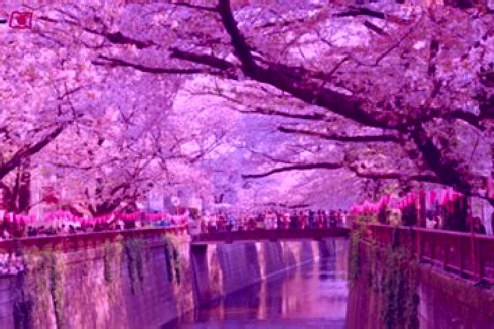 Lillian, 21 — Escort in Itogawa, Japan