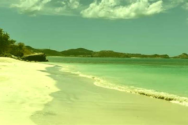 Lillian, 21 — Escort in Saint Clare, Antigua and Barbuda