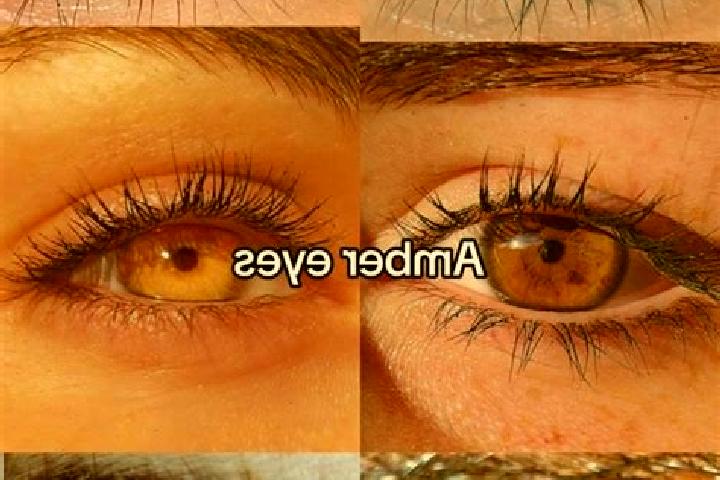 Lillian, 22, a chestnut amber-eyed caucasian companion based in Tramutola. Offering CIM, Fetish, Massage, 69. Available for incall and outcall, overnight boo...