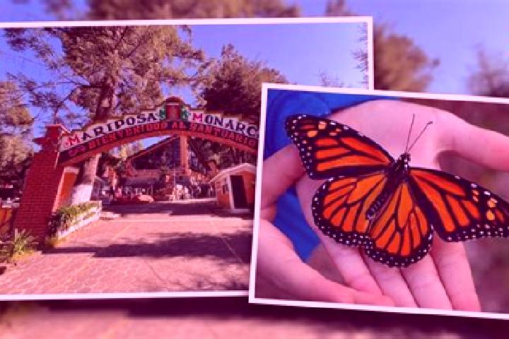 Lillian, 22 — Escort in Ejido el Rosario, Mexico