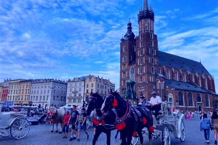 Lillian, 22 — Escort in Franciszkow, Poland