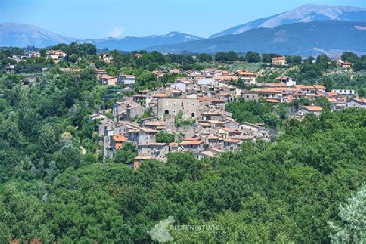 Lillian, 22 — Escort in Poggio Nativo, Italy