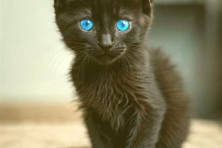 Lillian, 23, a black blue-eyed european companion based in Angagui. Offering A-Level, OWO, Duos, Overnight. Available for incall and outcall, day and evening...
