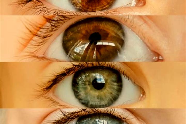Lillian, 23, a chestnut grey-eyed mixed companion based in Olaberria. Offering Tantra, Duos, CIM. Available for incall and outcall, day and evening dates.