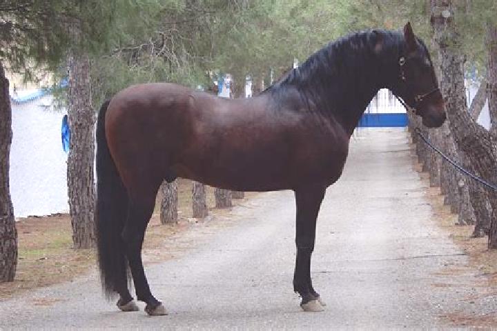 Lillian, 23 — Escort in Caballar, Spain