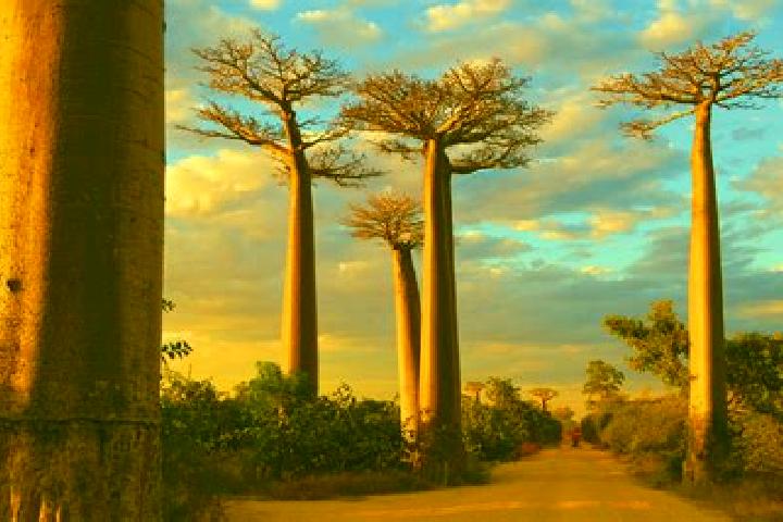 Lillian, 23 — Escort in Morondava, Madagascar