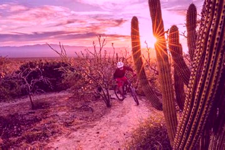 Lillian, 23 — Escort in Rancho de Pala, Mexico