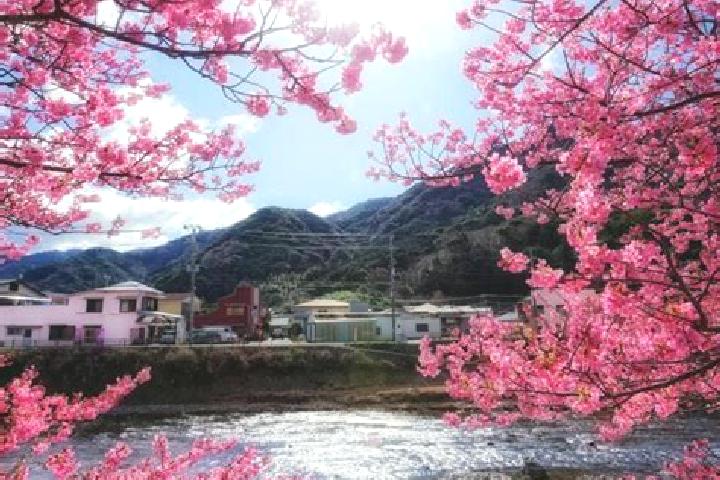Lillian, 24 — Escort in Kawazu-ikadaba, Japan