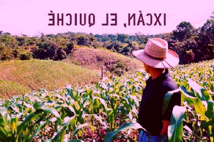 Lillian, 24 — Escort in Palpoala Ixcan, Mexico