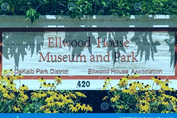 Lillian, 25 — Escort in Ellwood Park/Monument, United States