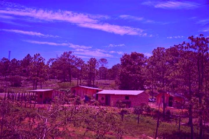 Lillian, 25 — Escort in Milpillas de la Sierra, Mexico