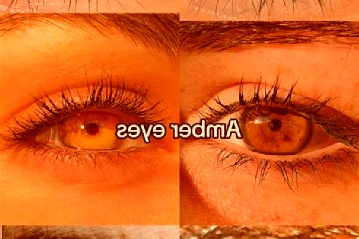 Lillian, 26, a brunette amber-eyed mixed companion based in Novosil . Offering Girlfriend Experience, BDSM, CIM. Available for incall and outcall, day and ev...