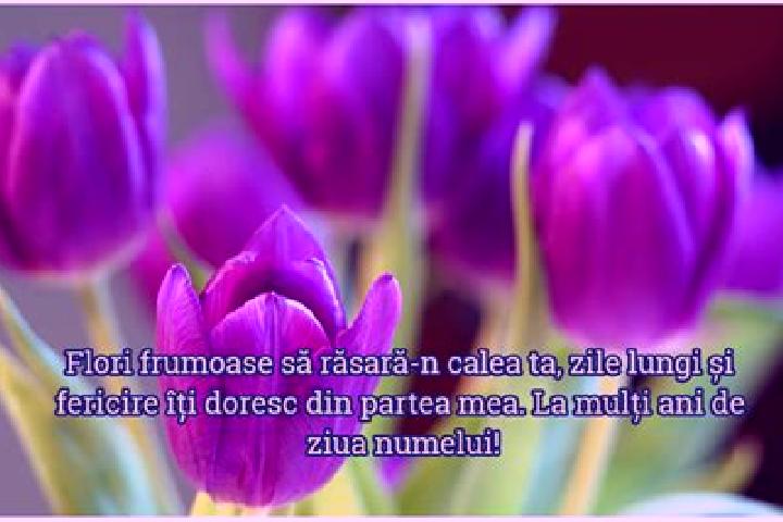 Lillian, 26 — Escort in Sambata, Romania